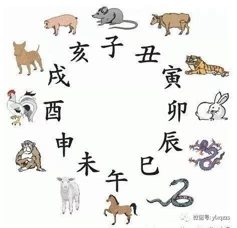 古人以十二地支記時，亦可與十二生肖配合，例如：子為鼠、丑為牛、寅為虎……。請依此判斷「丁酉」年出生的小孩應該屬什麼生肖？